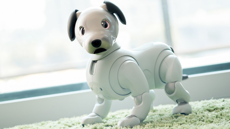 ソニーの「aibo」が“超”進化していた件 | エレクトロニクス | LEON