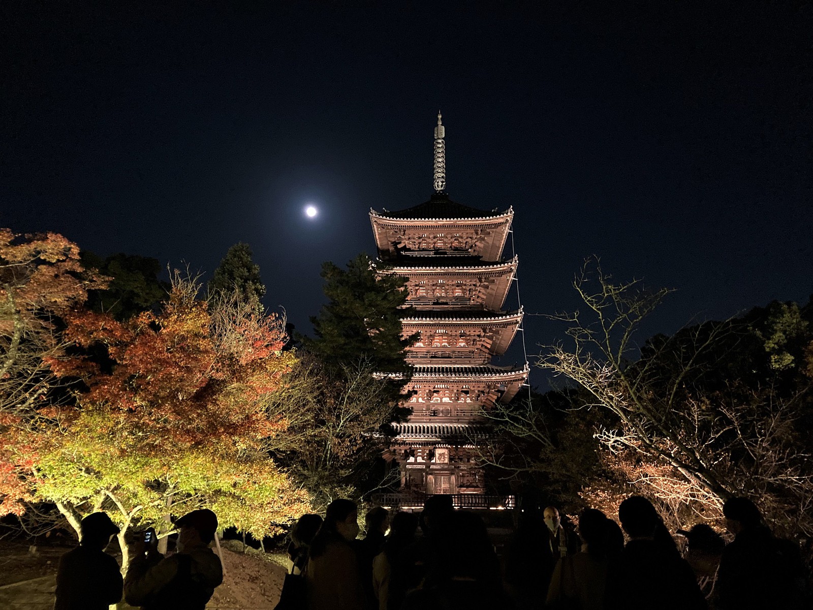 京都を代表する古刹「仁和寺」が大人の旅心を刺激する理由とは
