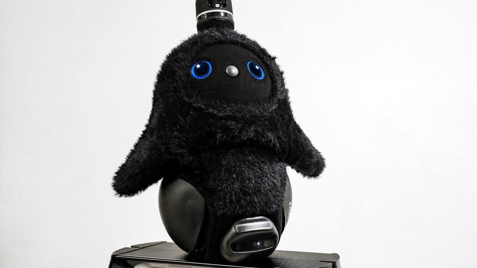 あ*豆様 LOVOTラボット2.0 ブラックカラー 瞳のカラーも特別仕様！家族型ロボット『LOVOT』新定番カラー“くろ