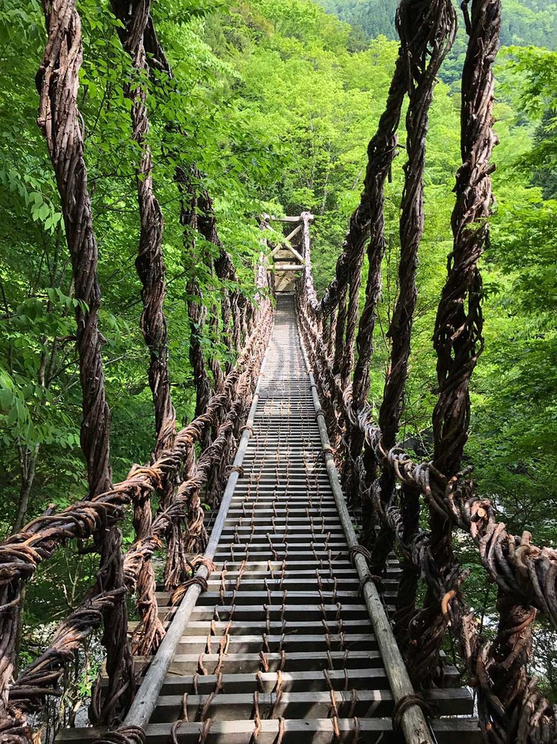 奥祖谷の二重かずら橋／徳島県西部、三好市の山あいに架かる吊り橋。かずら橋が２本並んで架かっており、通称「男橋女橋（おばしめばし）」とも「夫婦橋（みょうとばし）」とも呼ばれる。どちらの橋を渡るにしても、かなりの勇気と覚悟が必要かも。（写真提供／tomoka_mzkm）
