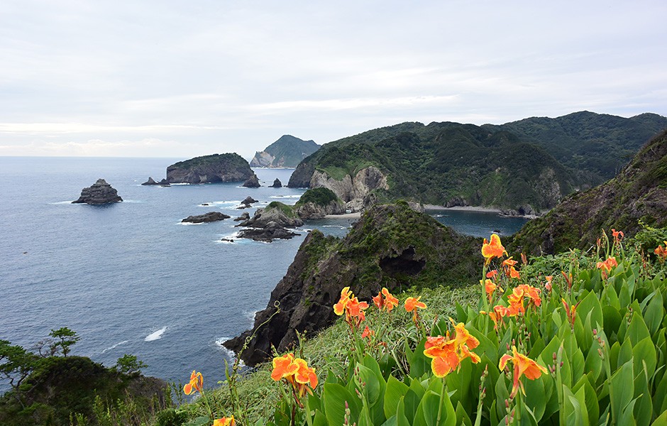 度重なる火山活動によって本州と合体するまでは、火山島だった伊豆半島。そんな形成の過程も、このユニークな地形を生み出しているのかも。