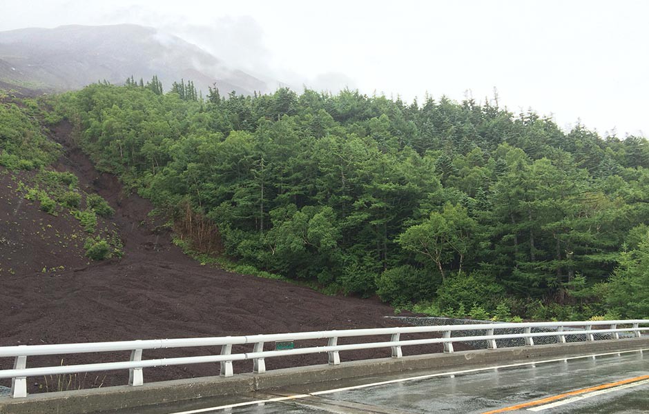 富士スバルラインで５合目へ迎えば、途中様々な高山植物の変遷も見ることができます。（7/10〜9/10までマイカー規制中）