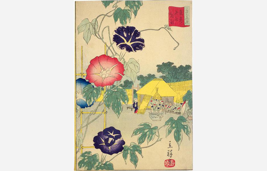 広重作「東都入谷朝顔」(国立国会図書館)