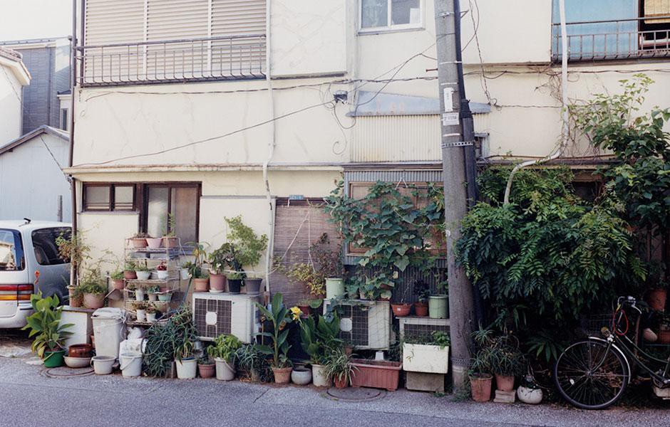 写真集「植木」より。©Yasuyuki Takagi