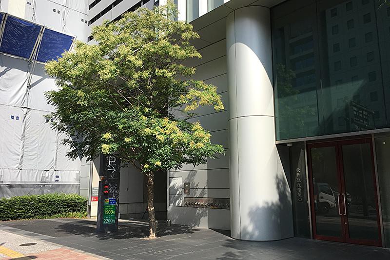 NPC24H GINZA KABUKIZA（銀座歌舞伎座）パーキング