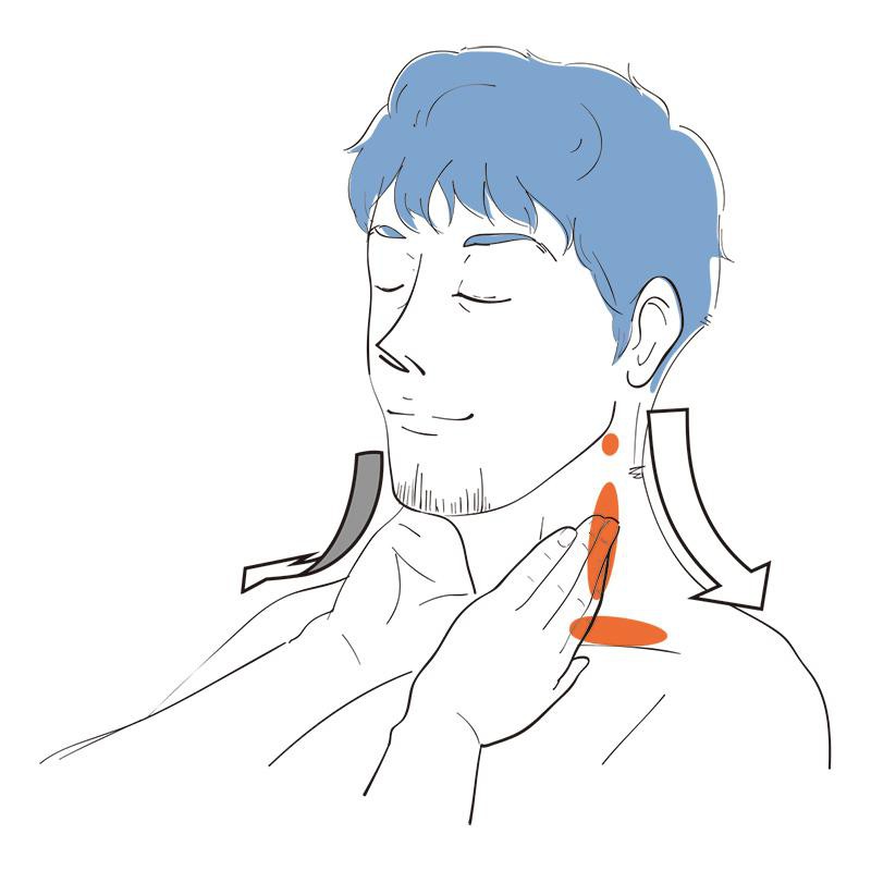 エラの下あたりから鎖骨にかけての太い筋(胸鎖乳突筋)に沿ってマッサージ。オレンジ色の3箇所を上から順番に、親指以外の4本の指の腹を当て、軽く押しながら皮膚ごと動かし、3〜5回、回します。皮膚を鎖骨のほうに引っ張るイメージで。これを何度か繰り返します。アゴのたるみにも効果的なので、気になる人は毎日続けましょう。