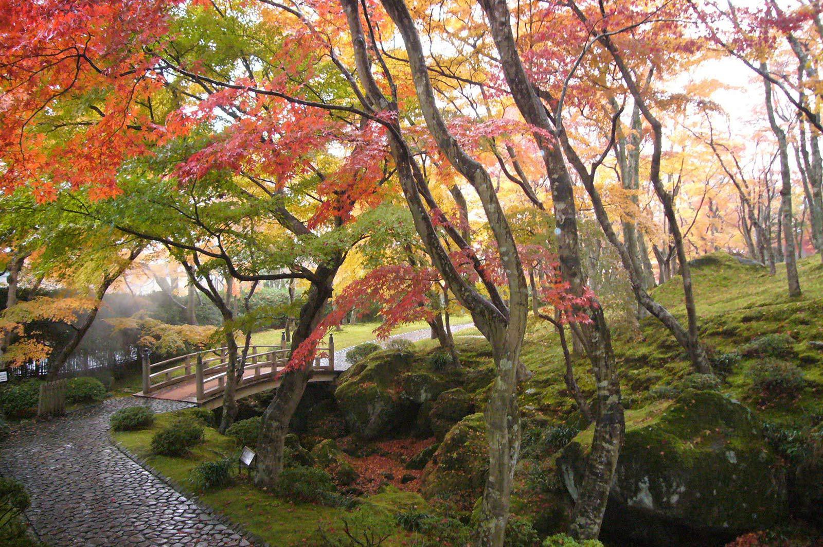 箱根美術館