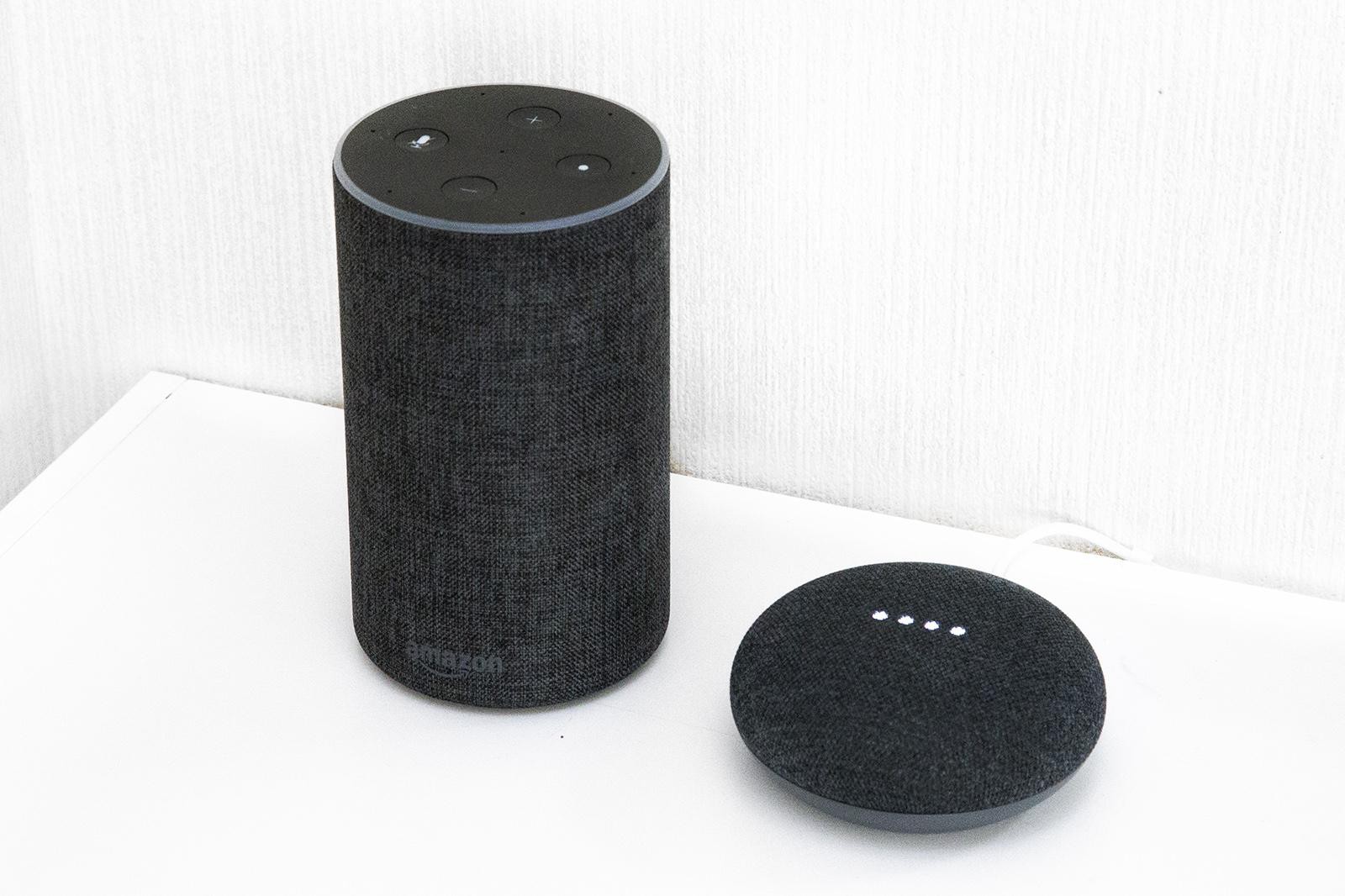 Amazon Echo Google Home mini