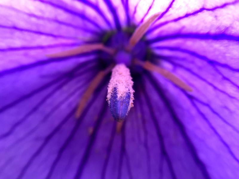 null