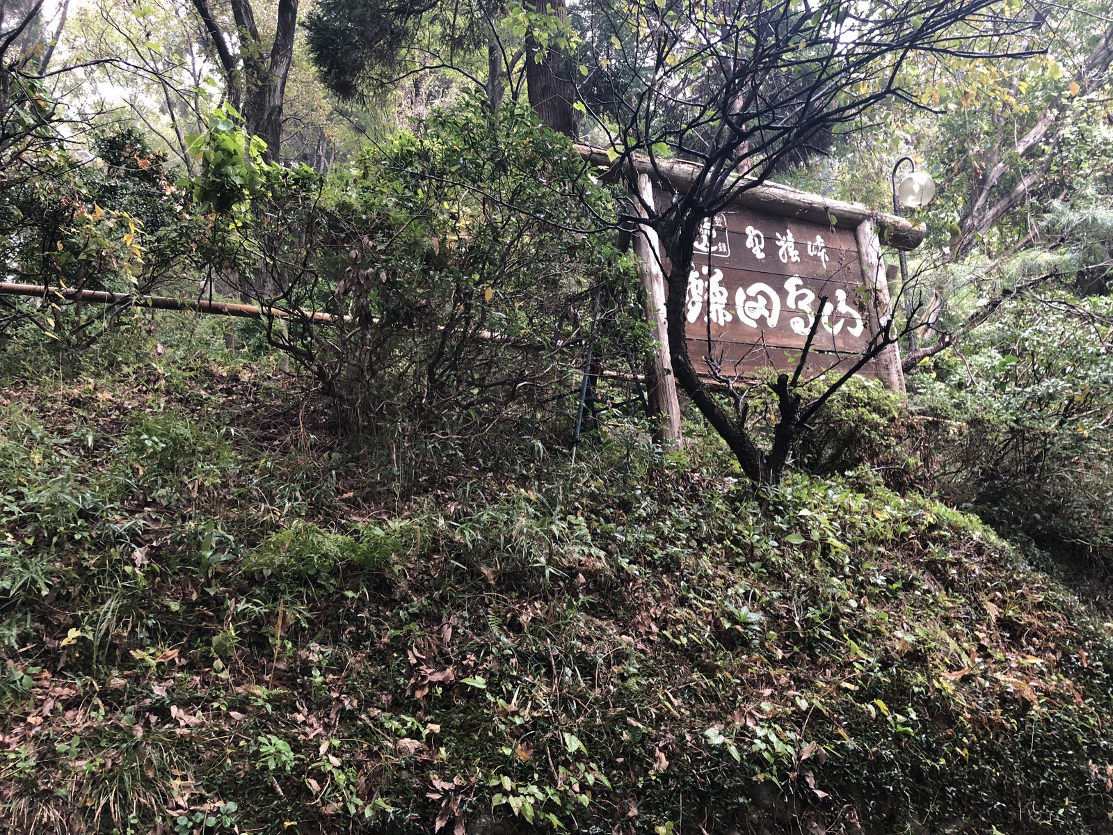 ジブリ　千と千尋の神隠し　鎌田鳥山