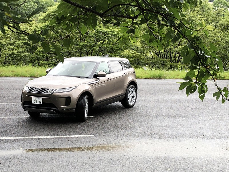 EVOQUE P250