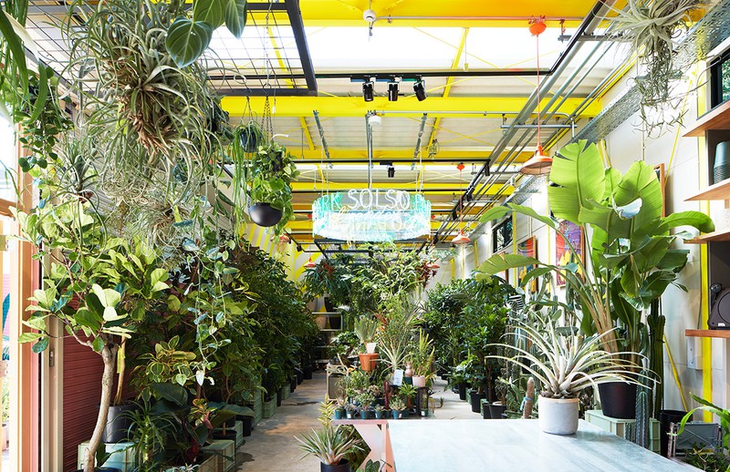 SOLSO PARK(ソルソ パーク)