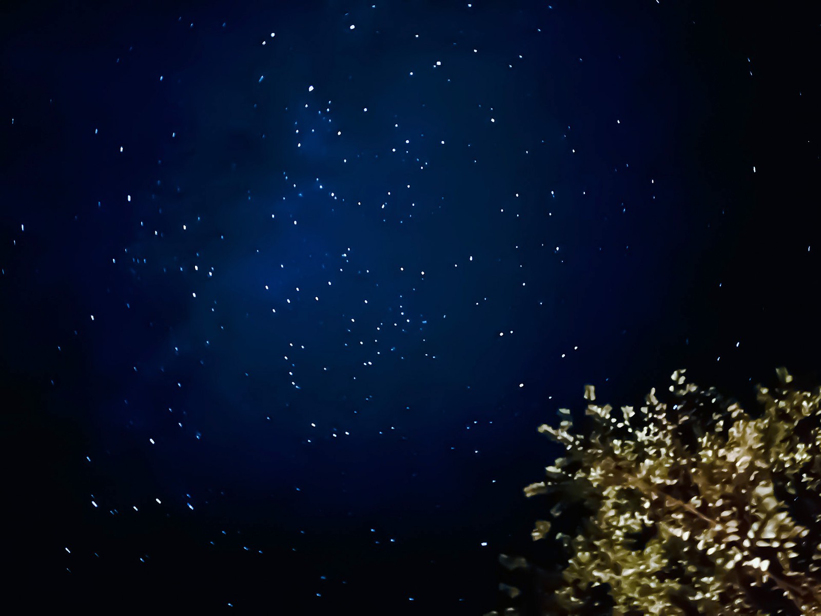 iPhoneで「星空」を綺麗に撮影する方法 | エレクトロニクス | LEON ...