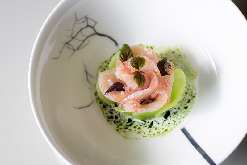 Japan’s Unique Oceanic Delight “Hamachi”