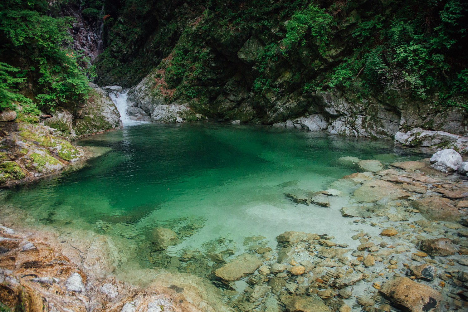 南アルプス　天然水　清流