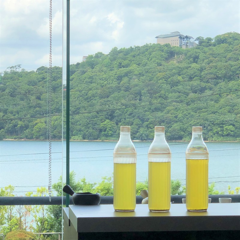 貝遠州 浜名湖 お茶