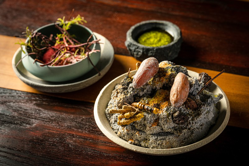 MAZ 料理