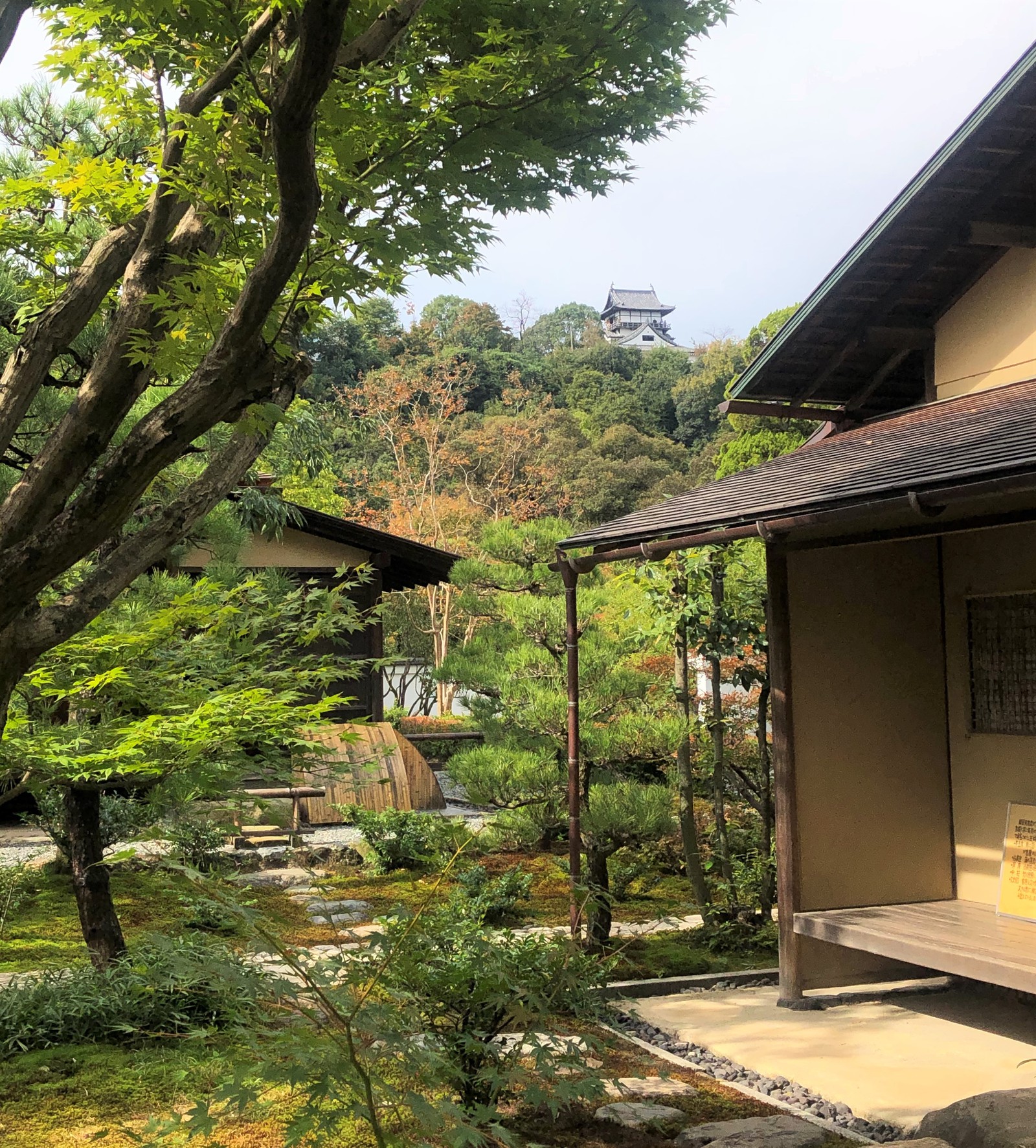 日本庭園「有楽苑」から犬山城を望む