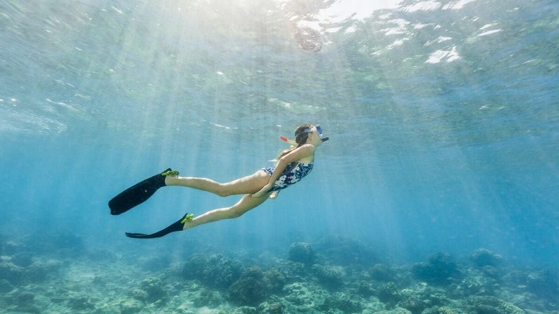 3年ぶりの海外旅行は「オーストラリアのケアンズに行かない?」