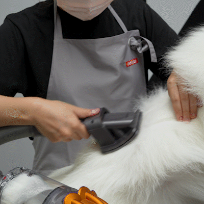 ▲ 「ペットグルーミングキット」8800円/ダイソン