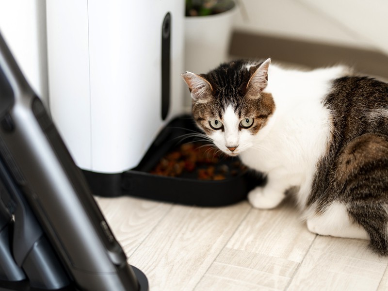 「Shark EVOPOWER EX（WV416JGY）」3万1900円／シャーク