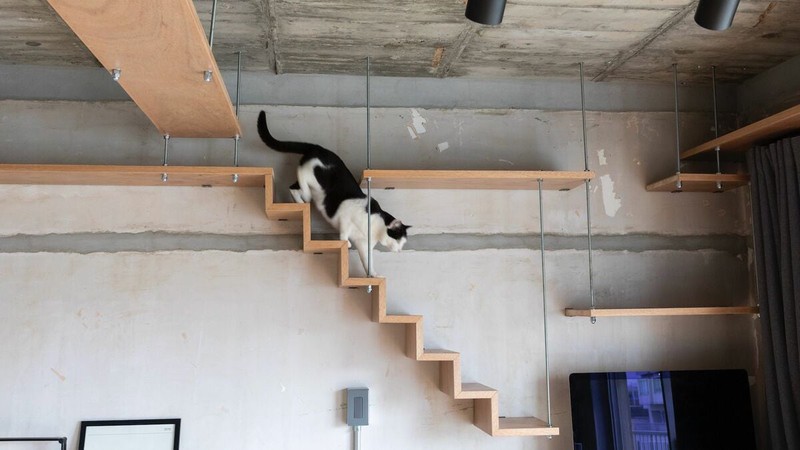 【お宅拝見!】猫のためにおウチをリノベーション!?