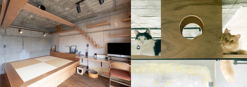 【お宅拝見!】猫のためにおウチをリノベーション!?