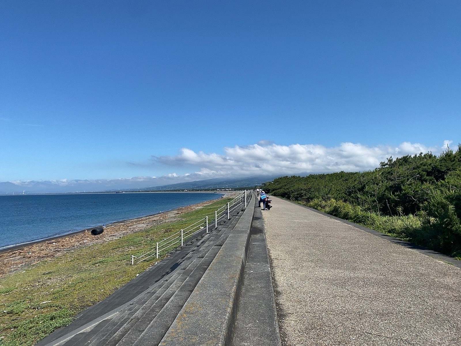 沼津倶楽部 宿からすぐ近くの防波堤。駿河湾の海岸線に沿って、約10km続く「千本松原」は、日本百景のひとつに選出されています。