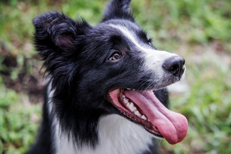 田中康嗣 LEON.JP 愛されオヤジ