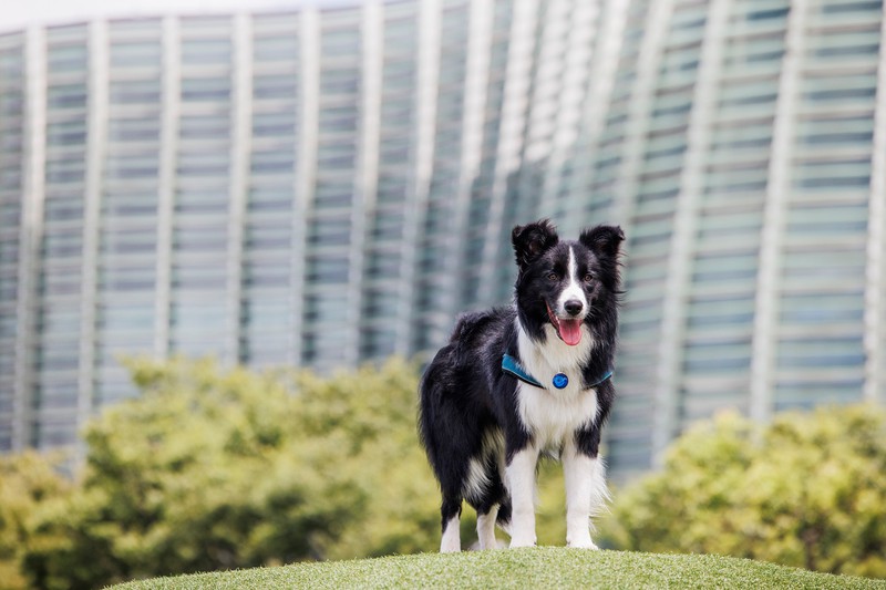 田中康嗣 LEON.JP 愛されオヤジ