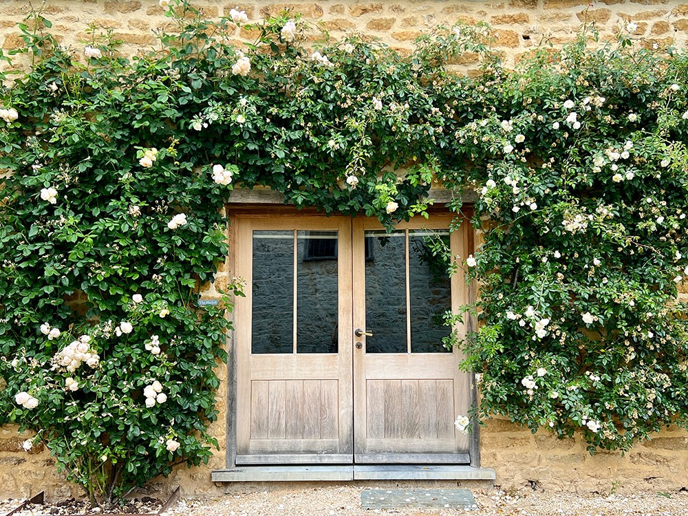 The Newt in Somerset 日本にあったら写真行列ができそうなバラに囲われた扉。