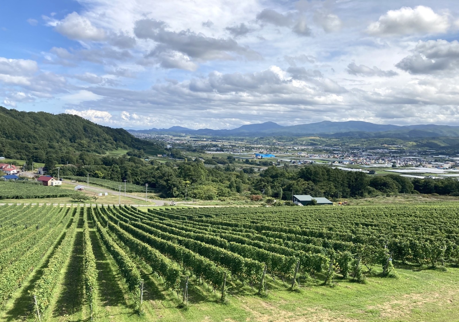 NIKI Hills Winery　LEON.JP  北海道