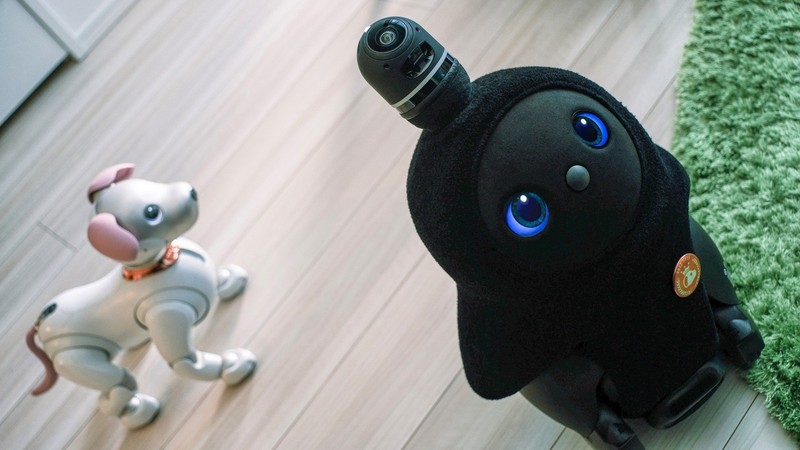 64万9800円を自腹購入！ LOVOT『FRAGMENT EDITION』と1カ月暮らしてみた