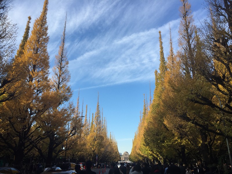 斎藤幸平 LOEN.JP 明治神宮外苑