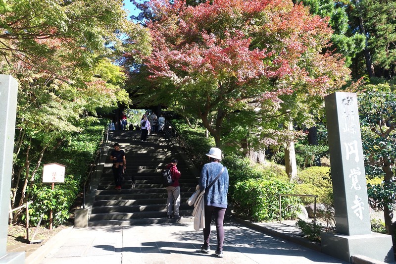 北鎌倉 円覚寺 LEON.JP