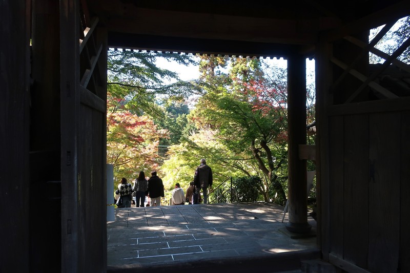 北鎌倉 円覚寺 LEON.JP