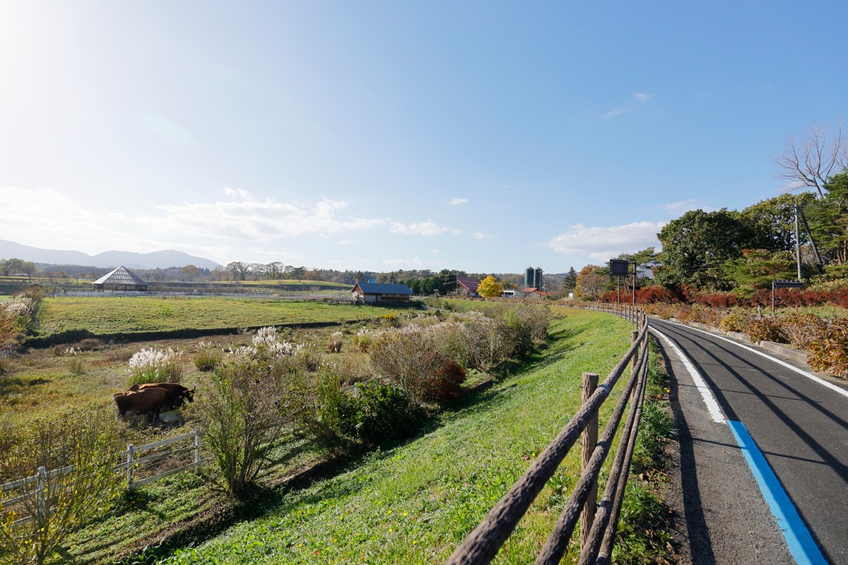 テルモン 岡山県真庭市の蒜山高原