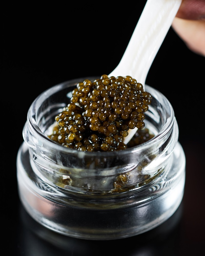 新見フレッシュキャビア3.5%1万2960円(蝶鮫屋)