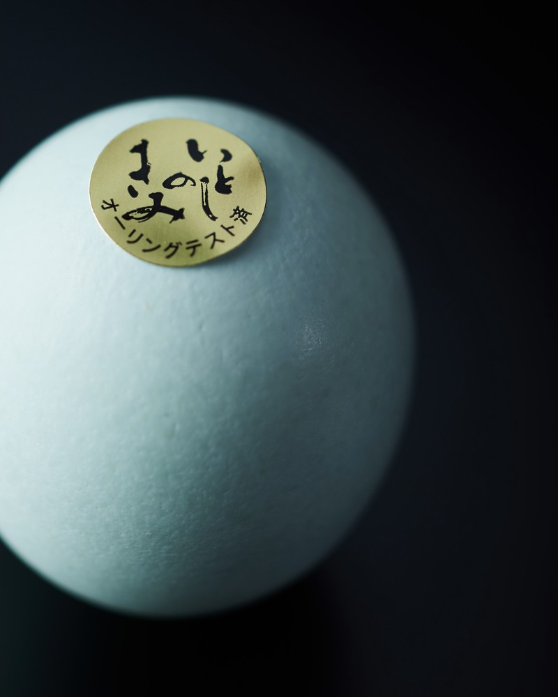 タワーゲーム(w8.8、h25、d8.8)58万9600円/フェンディ(フェンディ ジャパン)