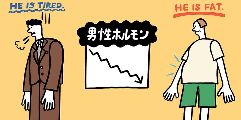 【Q2】男性ホルモンが多いと毛深い？ 逆に体毛が薄いと少ない？