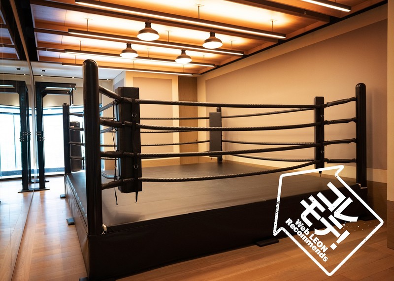 コレモテ WebLEON