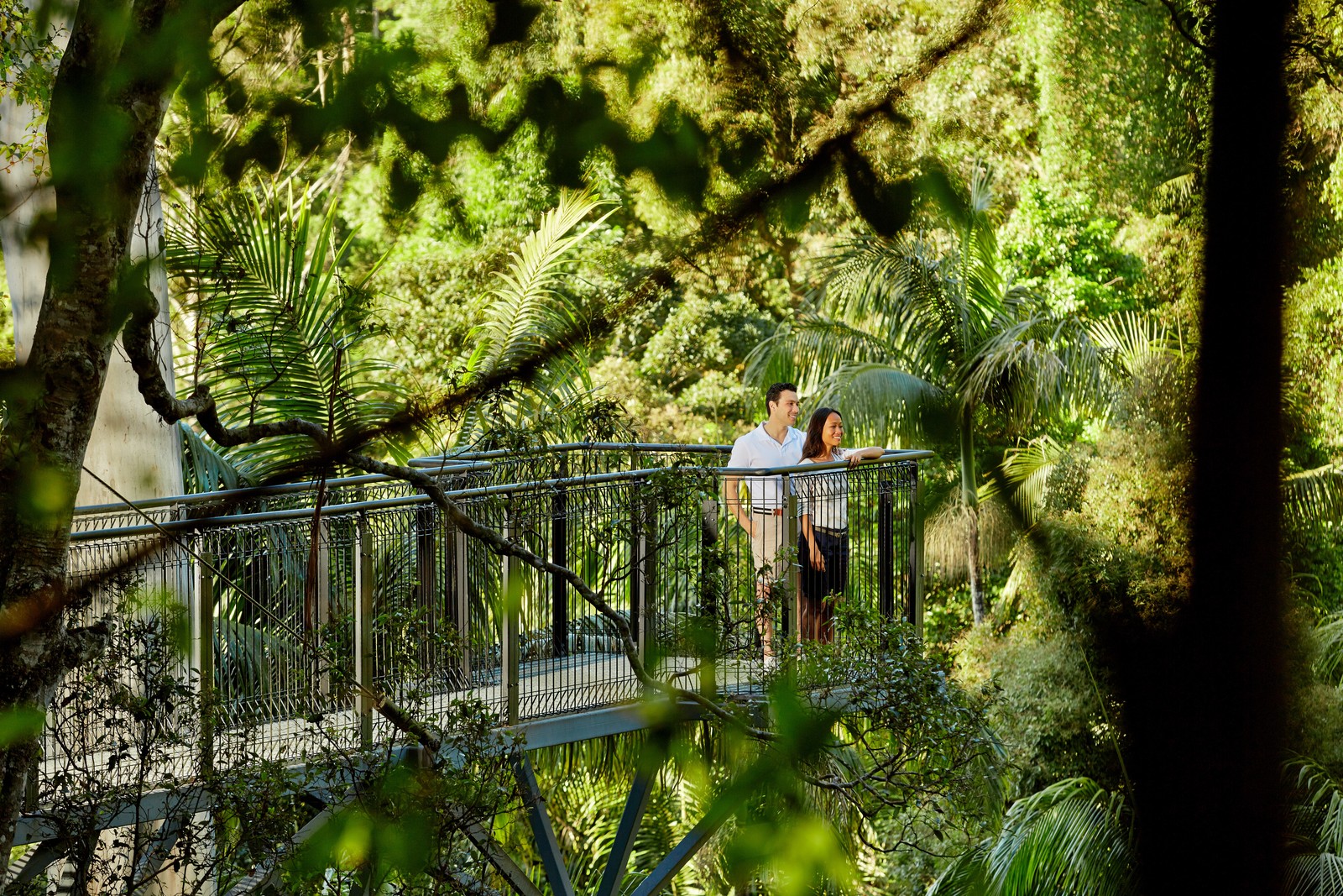 「Tamborine Rainforest Skywalk」の入場料はおとな1名19.5豪ドル。