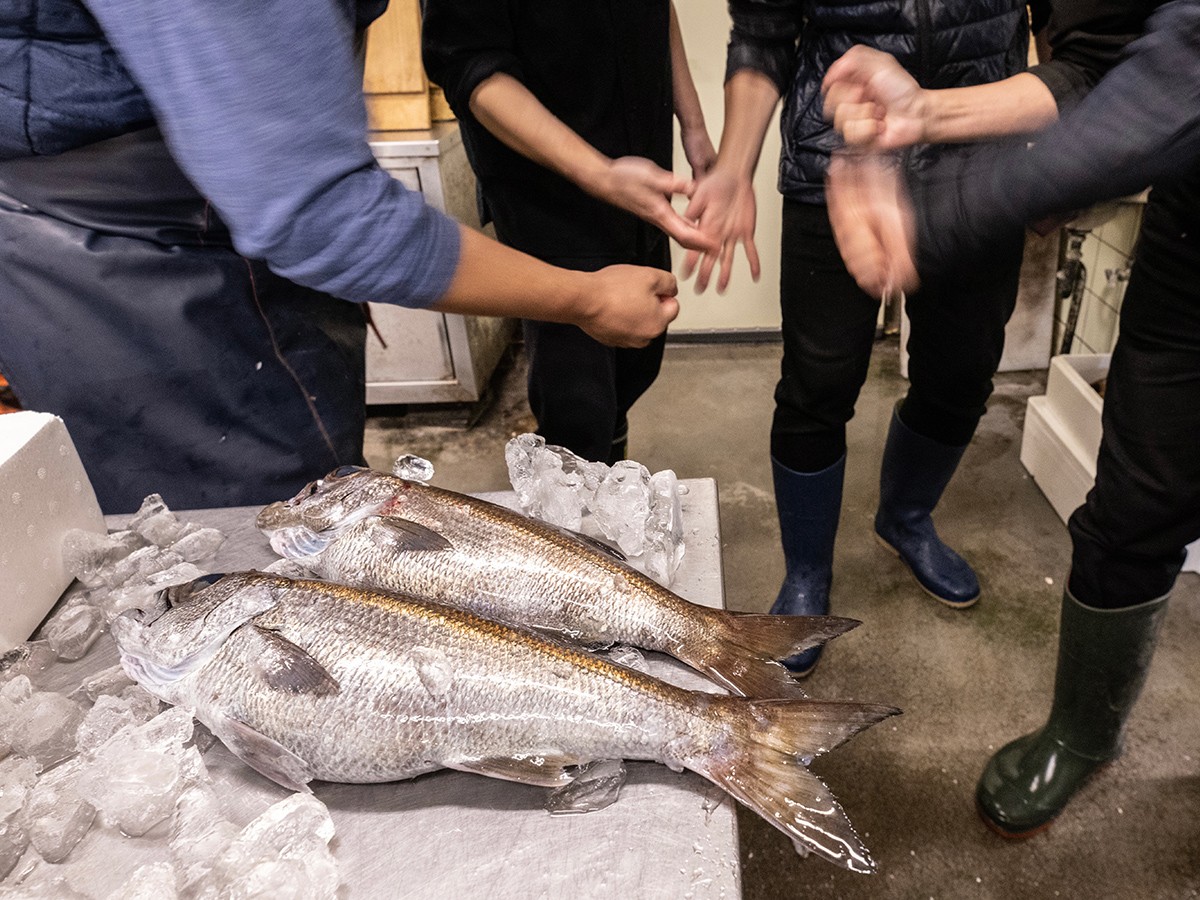 静岡の料理人たちはいい魚を超速ジャンケンで恨みっこなしでゲットします。