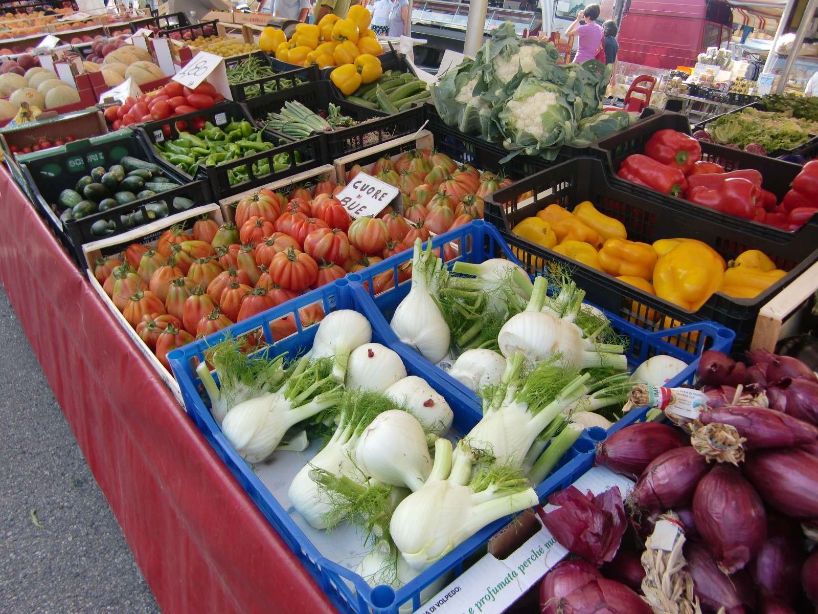 マッシ　massi   webLEON イタリア人　思考する食欲