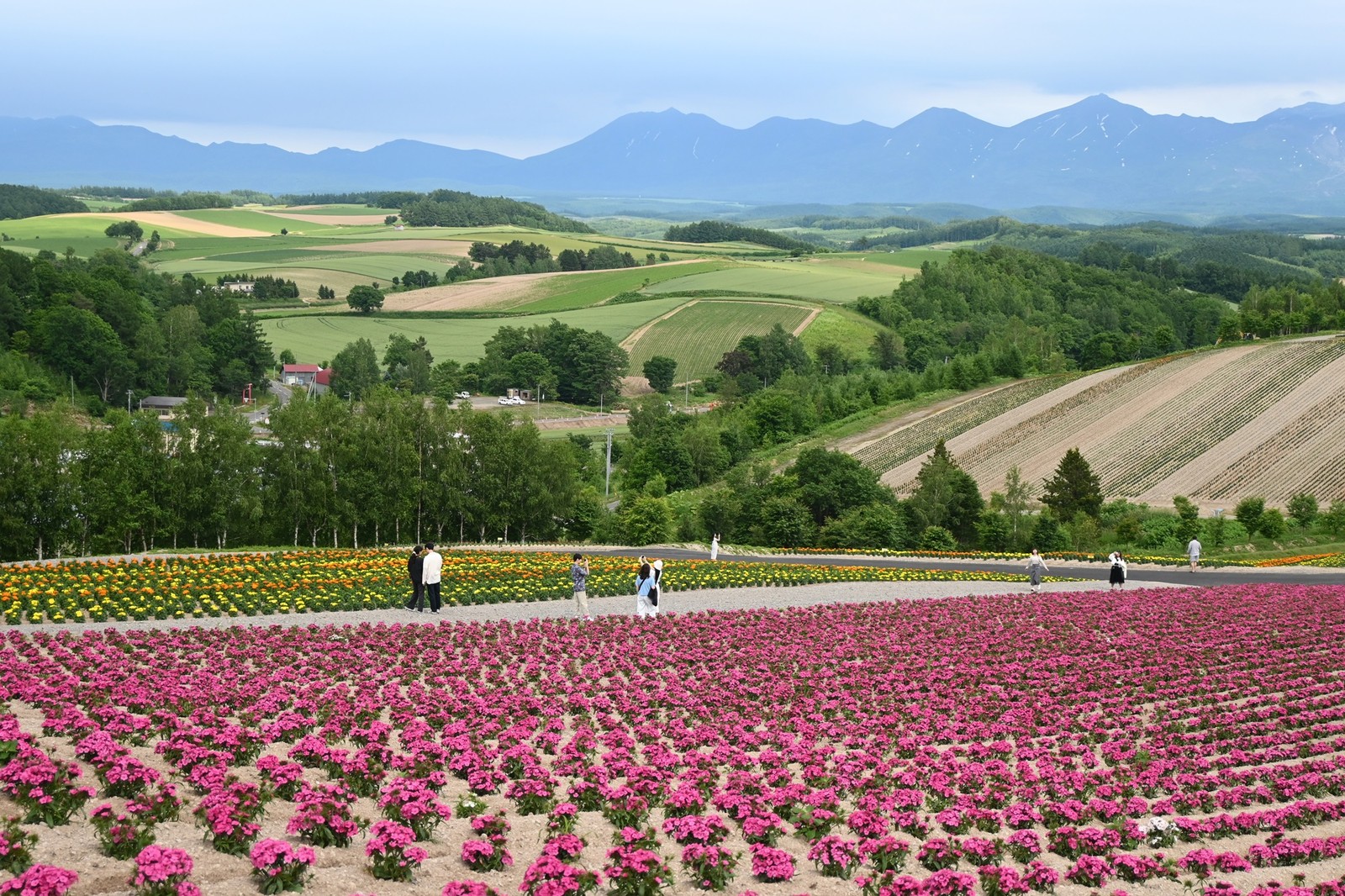 ノゾホテル　NOZOHOTEL  WebLEON 北海道　富良野