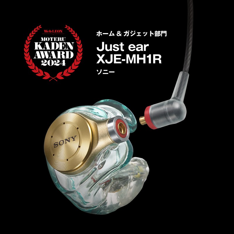世界に一つだけのテーラーメードイヤホン、その名も“Just ear
