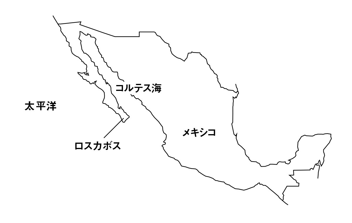 メキシコ マップ 地図