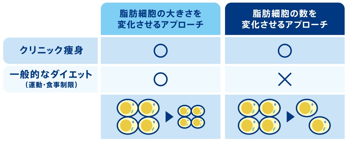 正月太りオヤジ注目！ ポッコリお腹は「脂肪冷却治療」で狙い撃ち!?