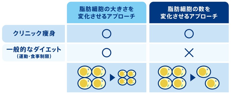 正月太りオヤジ注目! ポッコリお腹は「脂肪冷却治療」で狙い撃ち!?