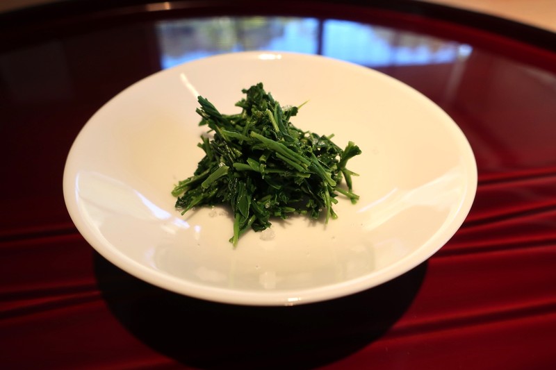 日本茶 八女茶 木屋康彦 WebLEON 大人のシン常識